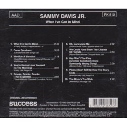 What i've got in mind (CD)